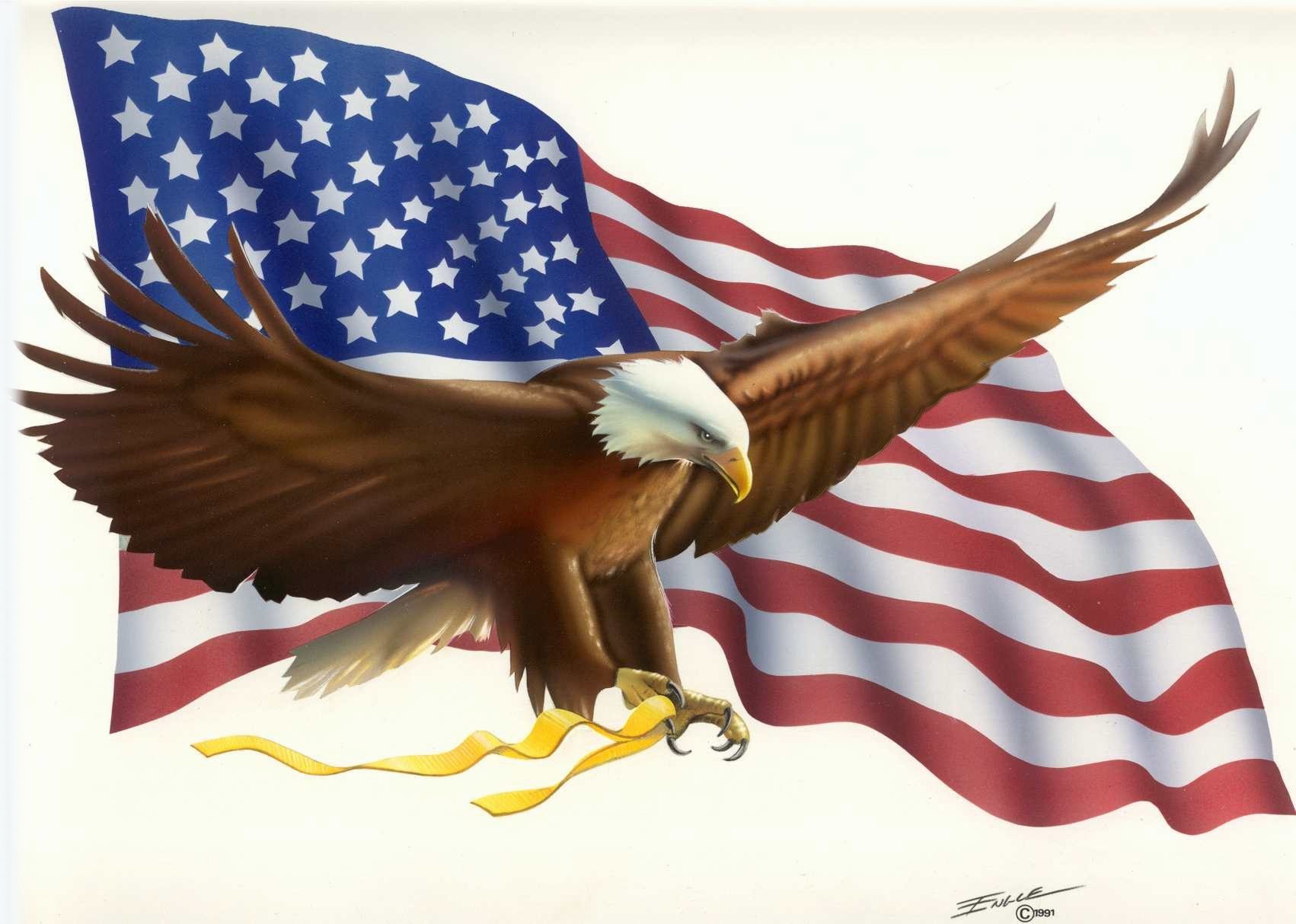 bald eagle flag